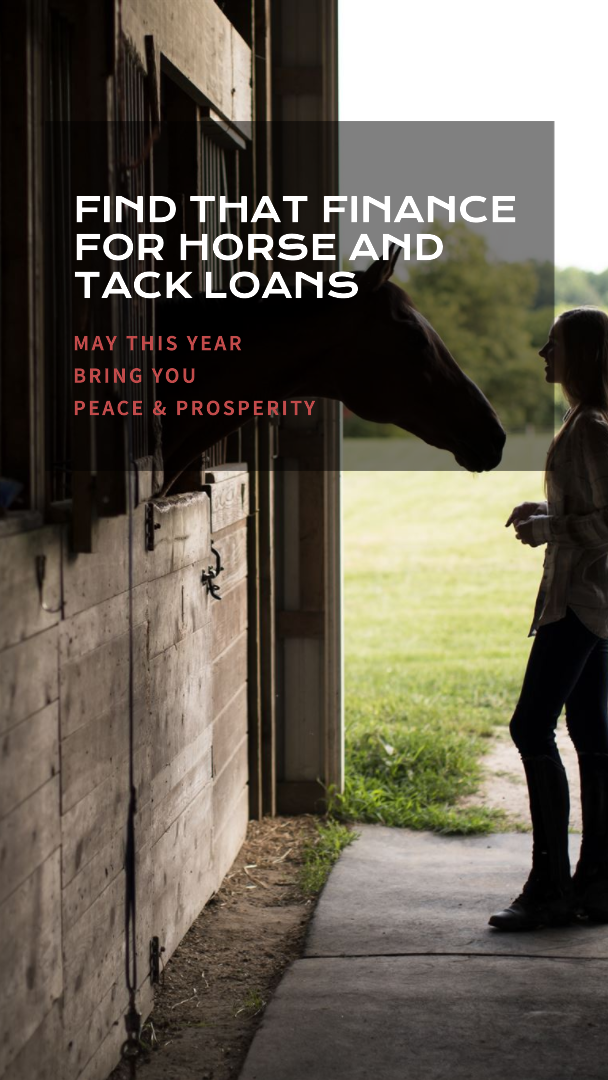 Personal Loan horse and tack