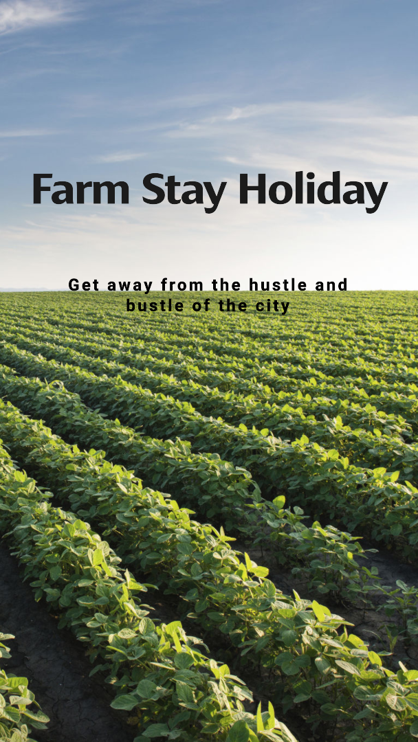 Farm Stay Holidays Personal Loans
