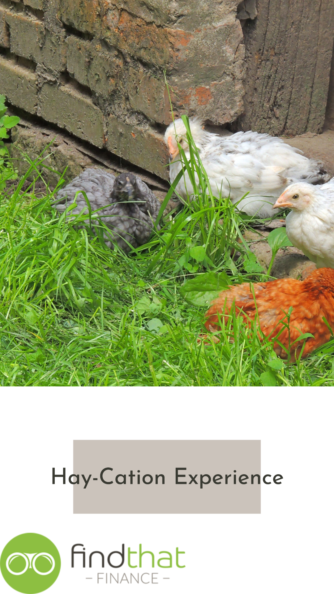 Hay-Cation Farm Stay Personal Loans Hens